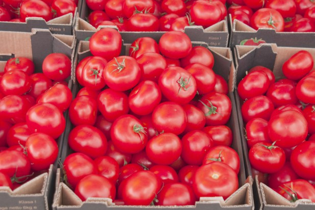 Wysokie ceny pomidorów. Winna mała podaż