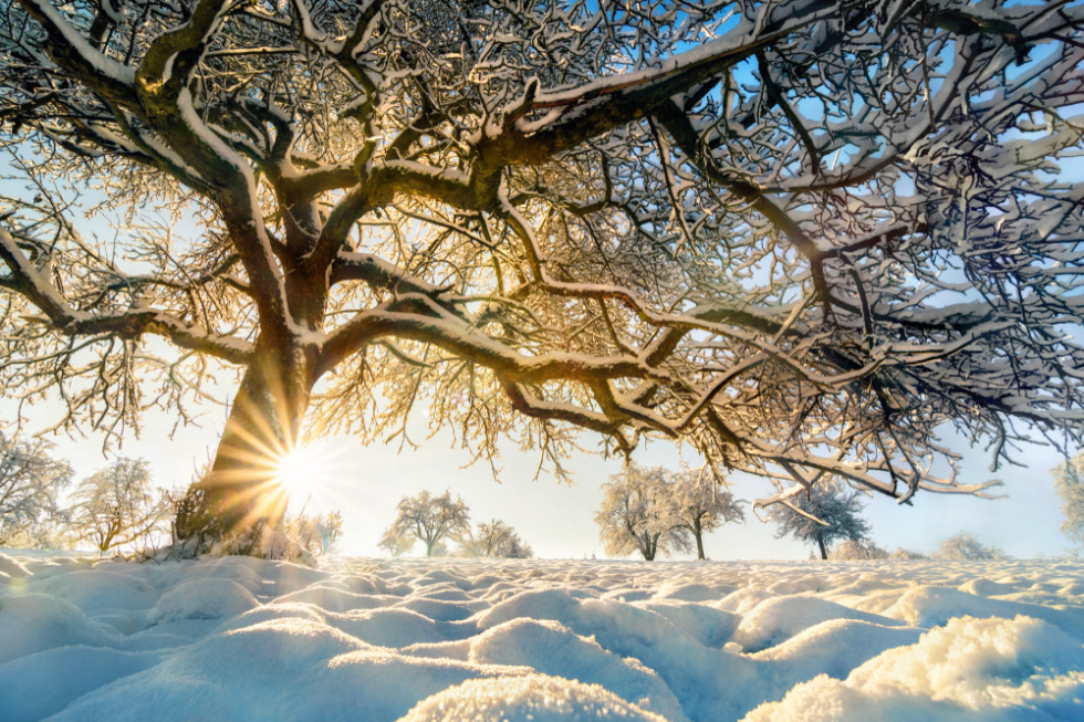 Pogoda: Piątek bezchmurny i pogodny/ fot. shutterstock.com Pogoda: Piątek bezchmurny i pogodny