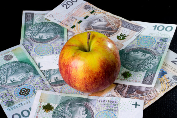 Obecny sezon kładzie się cieniem na zyski ze sprzedaży jabłek./ fot. shutterstock.com Tegoroczne zyski producentów a inwestycje