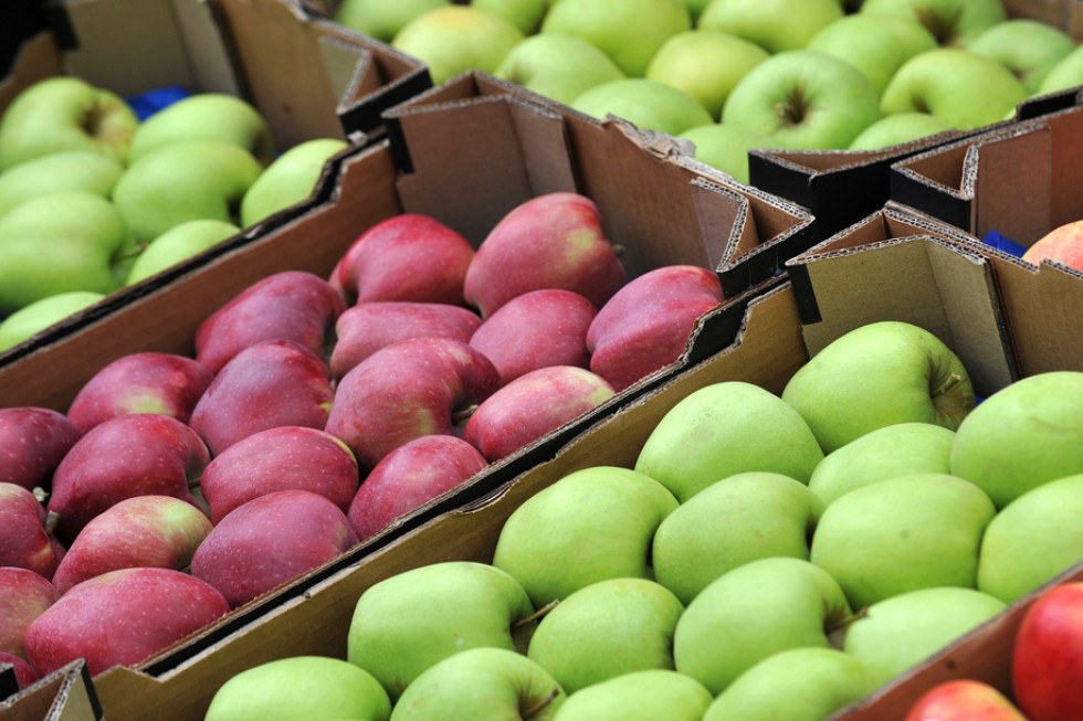 Przełamanie w handlu. Wzrósł eksport jabłek