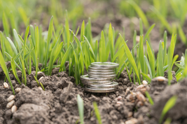 Część zadłużonych rolników spłaciła dług i zniknęła z krajowego rejestru długów. / fot. shutterstock Wzrost kosztów produkcji największym problemem w rolnictwie