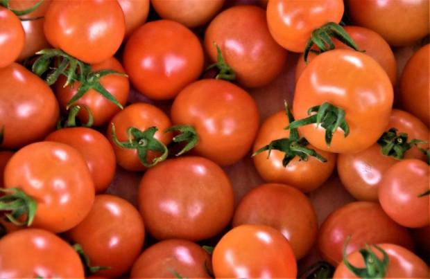 Plantatorzy pomidorów oszukani na 293 tys. zł
