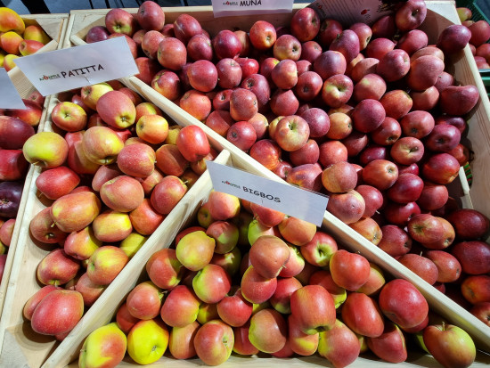 Nowe odmiany jabłoni polskiej hodowli