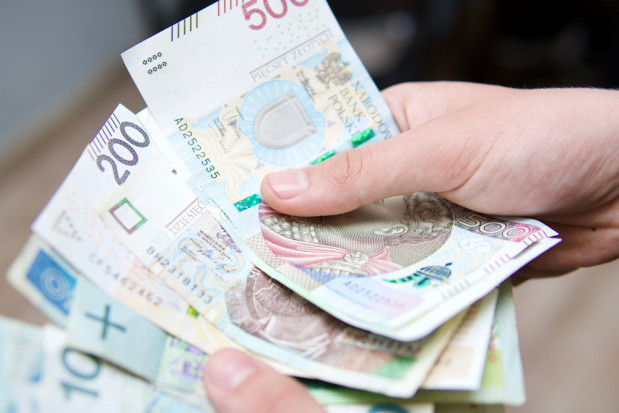 Będą dodatkowe środki dla rolników w ramach dopłat bezpośrednich / fot. shutterstock Dopłata dodatkowa na poziomie 40-41 zł na ha