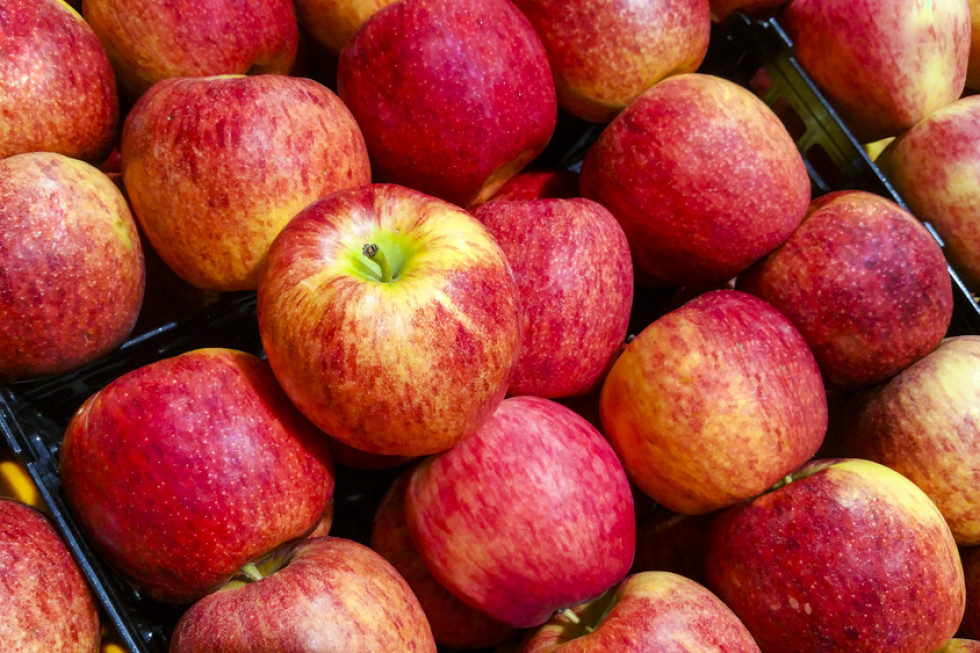 Białoruś wprowadza ceny maksymalne m.in. na jabłka