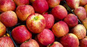 Białoruś wprowadza ceny maksymalne m.in. na jabłka
