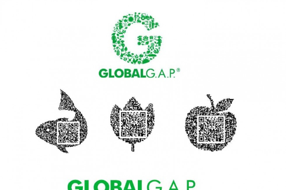 GlobalGap zbyt drogi w odniesieniu do uzyskiwanych cen jabłek