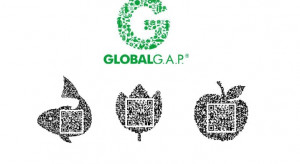 GlobalGap zbyt drogi w odniesieniu do uzyskiwanych cen jabłek