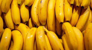 Kokaina w bananach w sklepach znanej sieci handlowej