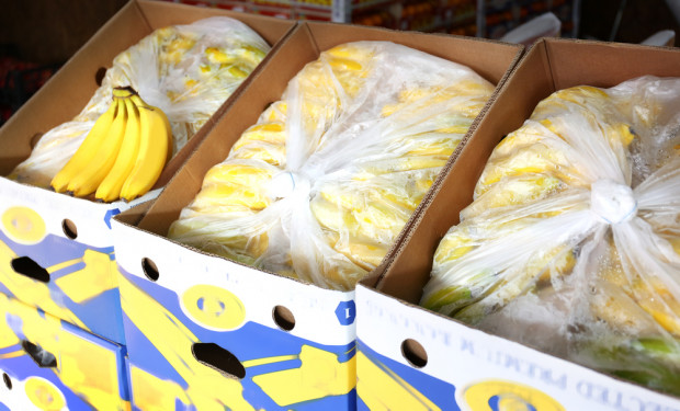 Olsztyn: Pracownicy sklepu znaleźli 12 kg kokainy w kartonach z bananami/ fot. shutterstock.com Pracownicy sklepu znaleźli 12 kg kokainy w kartonach z bananami