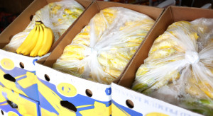 Pracownicy sklepu znaleźli 12 kg kokainy w kartonach z bananami