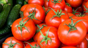 Ceny warzyw na Broniszach. Drogie pomidory i ogórki