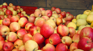 Białoruskim konsumentom zabraknie jabłek ?