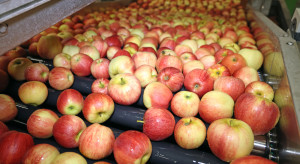 Eksport polskich jabłek na Białoruś - duże spadki w styczniu