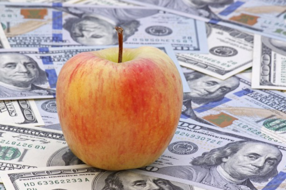 Wycofanie jabłek - ile pieniędzy wypłacono sadownikom ?