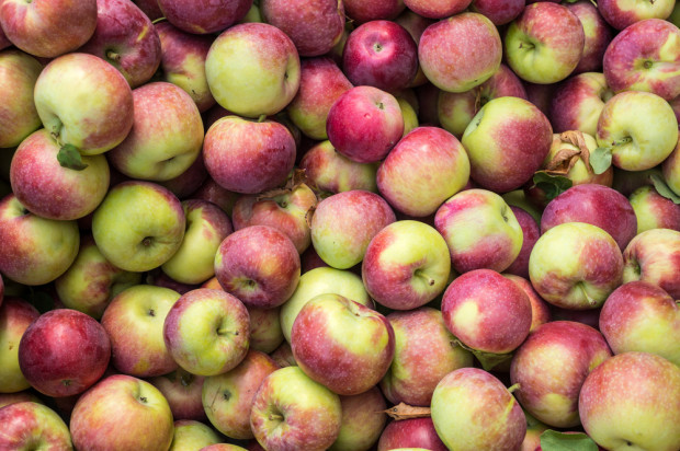 Ceny jabłek 2022: Prognozy nie są pozytywne