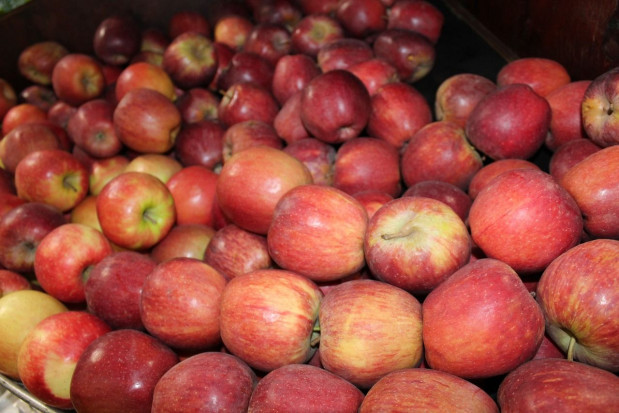 Włoski rynek jabłek: Rosnące koszty i problemy logistyczne