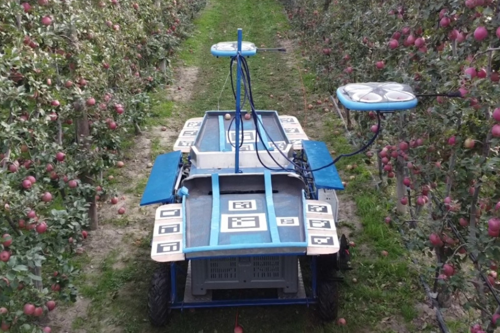 Kubota i Tevel nagrodzone za system do automatycznego zbioru owoców