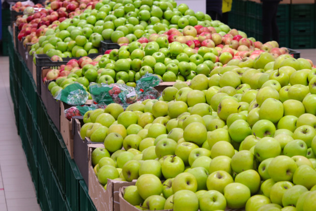 Mołdawia nie odpuszcza starań o eksport owoców do Egiptu