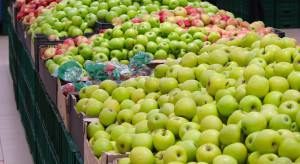 Mołdawia nie odpuszcza starań o eksport owoców do Egiptu
