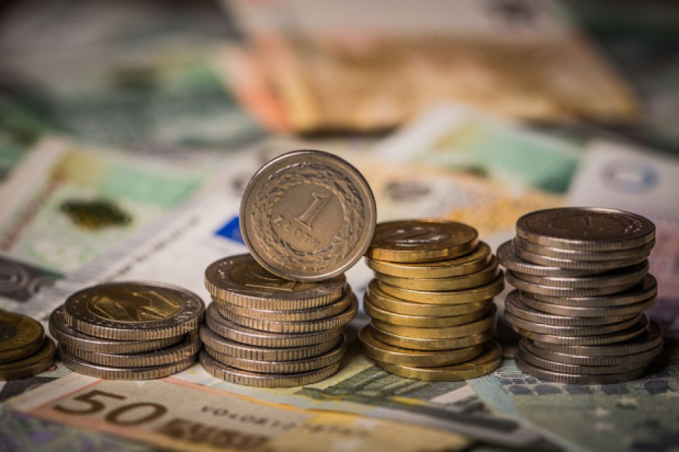 Wiele czynników wpływa na zadłużenie branży sadowniczo- ogrodniczej. / fot. shutterstock Jak zapobiec nadmiernemu zadłużeniu gospodarstwa?