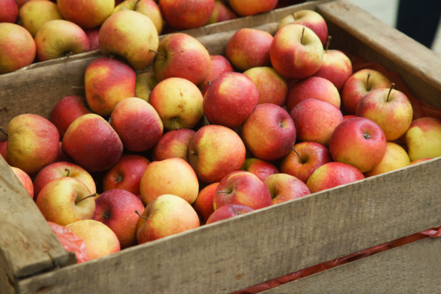 Rośnie unijne poparcie dla wycofania jabłek z rynku