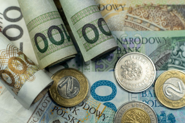 Cały budżet na płatności obszarowe za 2021 rok to nieco ponad 3 mld zł. / fot. shutterstock Dopłaty 2021: Ile pieniędzy trafiło na konta rolników?