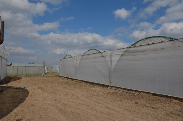 W okolicach Potworowa praktycznie każdemu silny wiatr coś zerwał, w mniejszym lub większym stopniu / fot. materiały redakcji Skutki wichur w okolicach Potworowa. Straty sięgają nawet 40 proc.