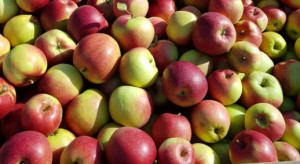 Jabłka zostaną wycofane z rynku? Jest wniosek do KE!