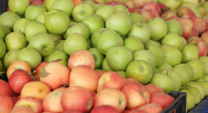 Rosja zezwala na import jabłek i gruszek z Chin