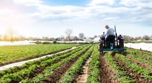 Organizacje rolnicze apelują o odłożenie reform Zielonego Ładu