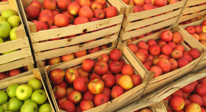 Wycofanie jabłek-działania zaczynają przynosić efekty