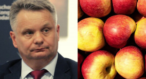 Duża szansa na wycofanie jabłek z rynku. Wkrótce decyzja