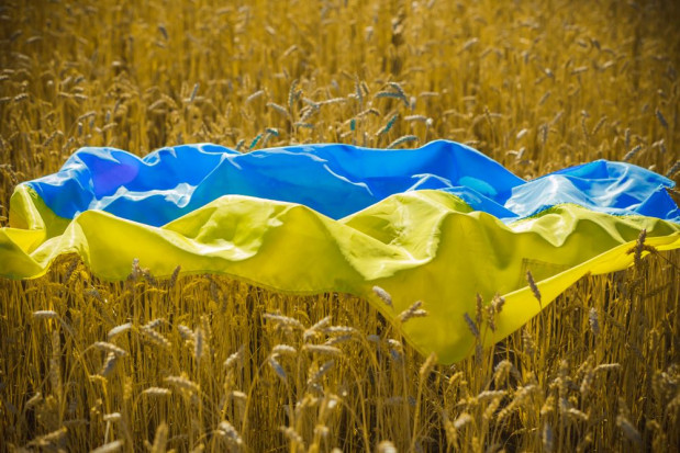 Ukraina: rząd wprowadza licencjonowanie eksportu towarów rolnych