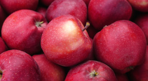Problem z eksportem jabłek z Mołdawii