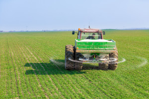 Grupa Azoty po awarii: nawozów nie zabraknie ale ceny rosną