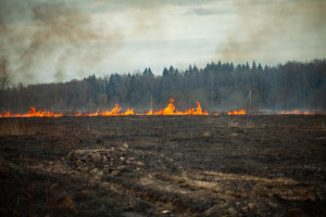 Świętokrzyskie: Ponad 240 pożarów przez wypalanie traw