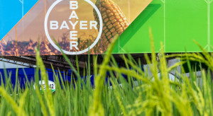 Bayer zawiesza działania i inwestycje w Rosji