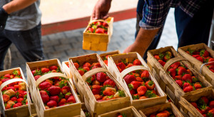 Ceny truskawek deserowych nie powinny być niskie