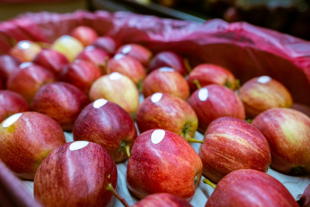 Indie żądają wyższego cła importowego na jabłka