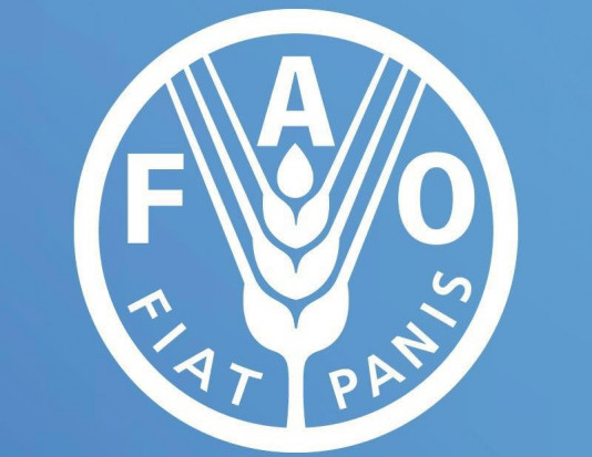 Ukraińscy rolnicy otrzymają 50 mln dolarów pomocy od FAO