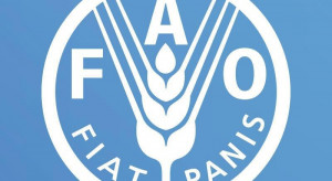 Ukraińscy rolnicy otrzymają 50 mln dolarów pomocy od FAO