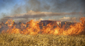 Warmińsko-mazurskie: plaga wypalania traw na łąkach