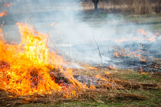 Małopolskie: Aż 100 pożarów traw dziennie