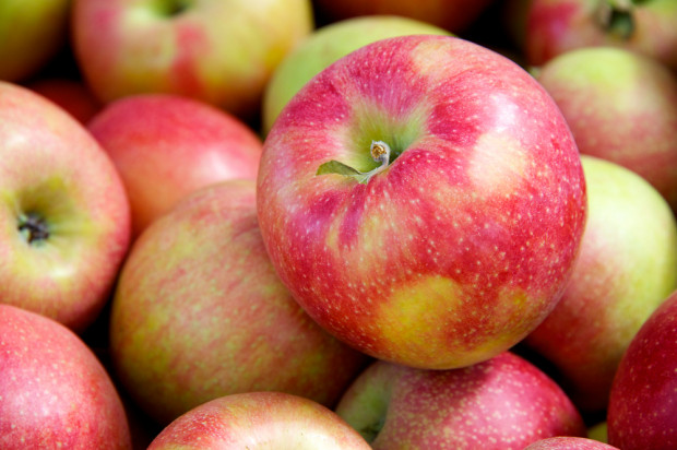 Emiraty Arabskie chcą ekologicznych jabłek