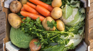Polscy producenci przekazali 40 ton warzyw na Ukrainę
