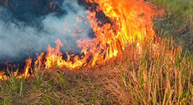 Rolnicy stracili ponad 235 tys. zł za wypalanie traw!