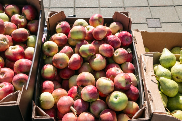 Francja: Większe zapasy jabłek, mniejsze gruszek
