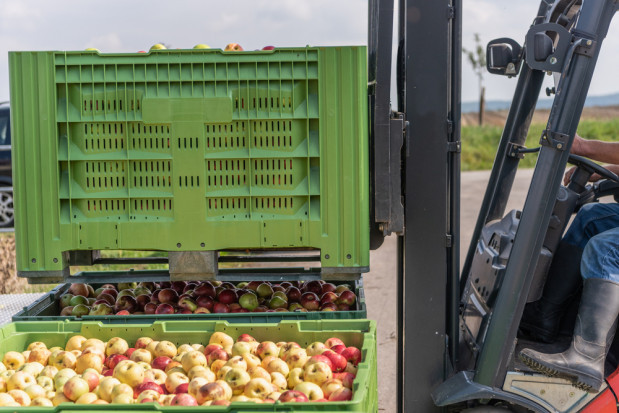 Koniec z zaniżaniem cen jabłek?