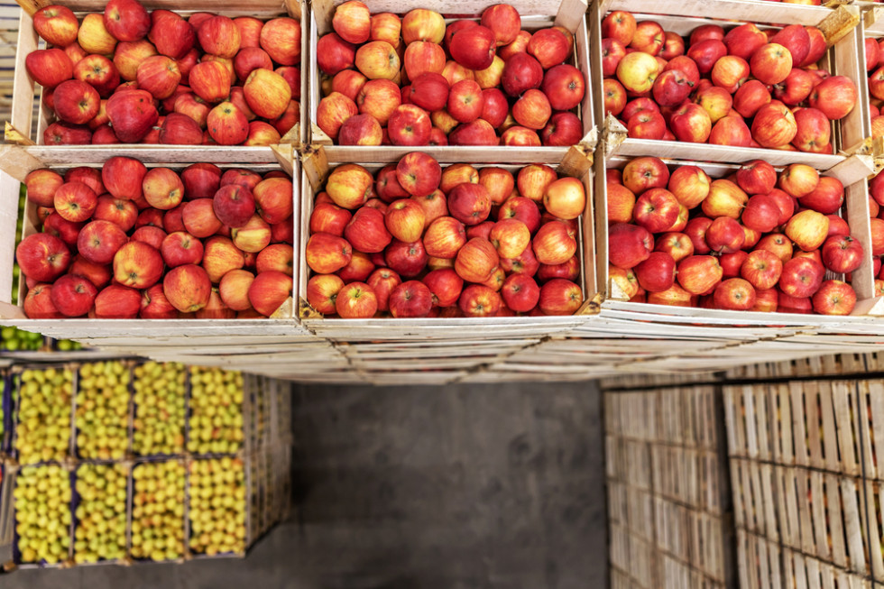 Ten sezon na rynku jabłek najtrudniejszy od 30 lat